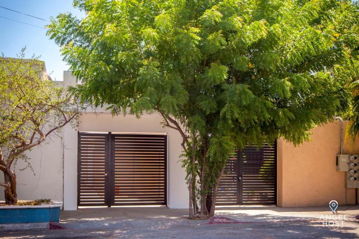 Downtown Room With Pool Bbq And Near All The Hotspots La Paz Dış mekan fotoğraf